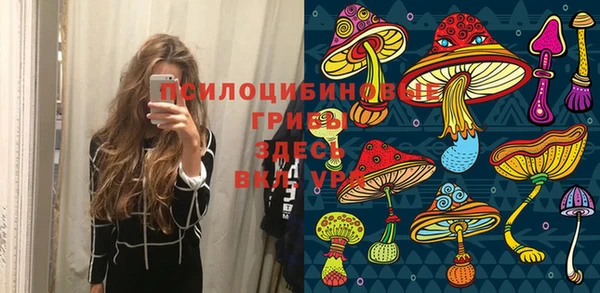 спиды Новокубанск