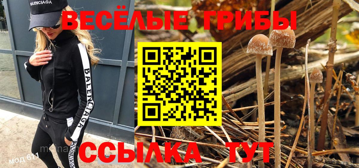 Галлюциногенные грибы Magic Shrooms Истра