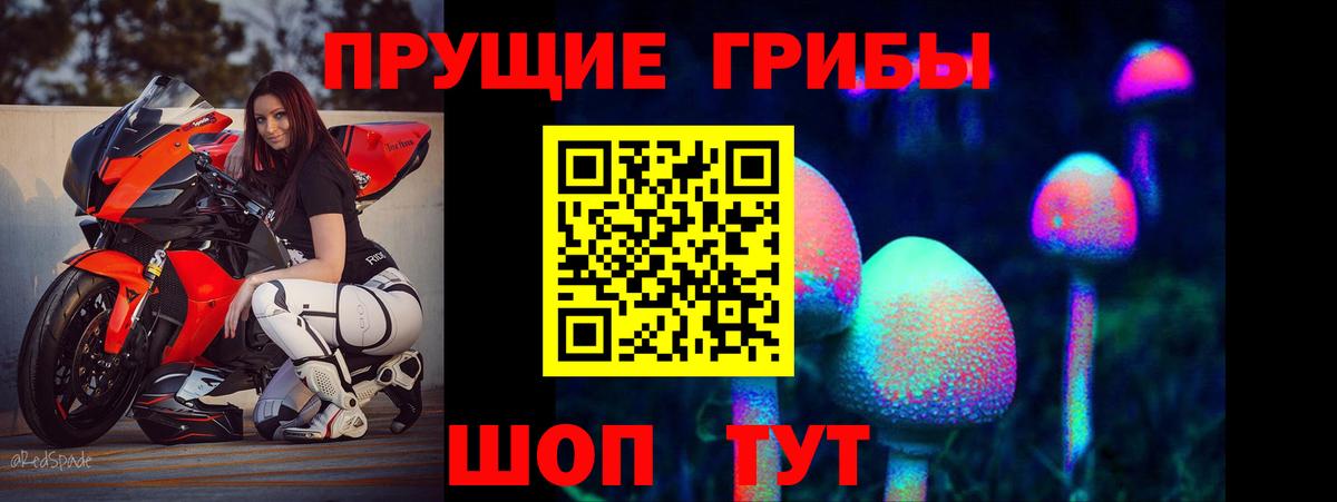 Галлюциногенные грибы мицелий  Галлюциногенные грибы Psilocybine cubensis  Истра  Вход с VPN 